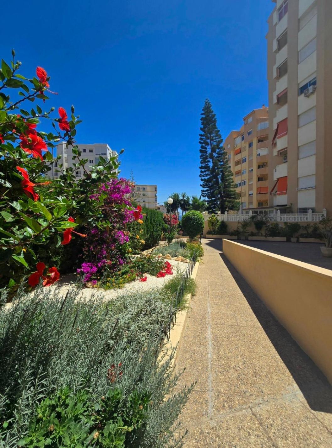 Mikasika - Duplex Apartment With Seasonal Swimming Pool & Walking Distance From The Beach La Cala Del Moral Kültér fotó